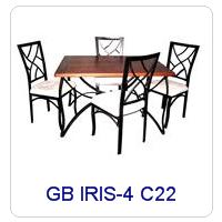 GB IRIS-4 C22